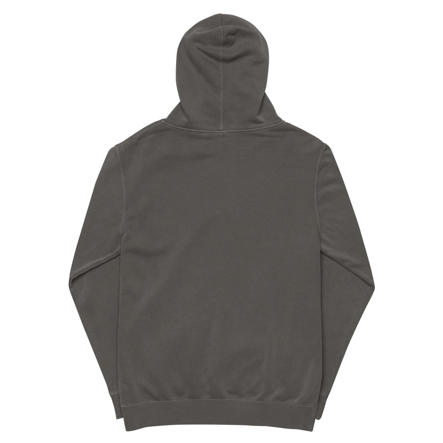 HGS Flight Hoodie pigment-dyed Black Back
