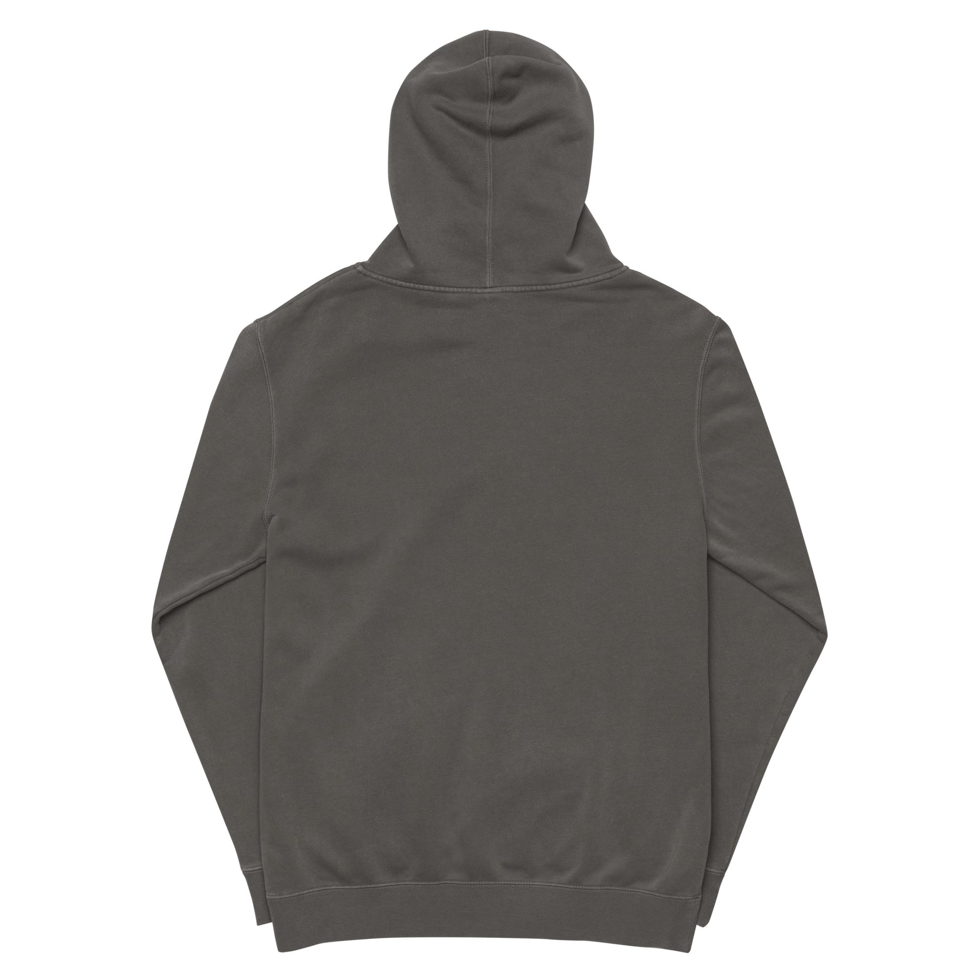 HGS Flight Hoodie pigment-dyed Black  Back